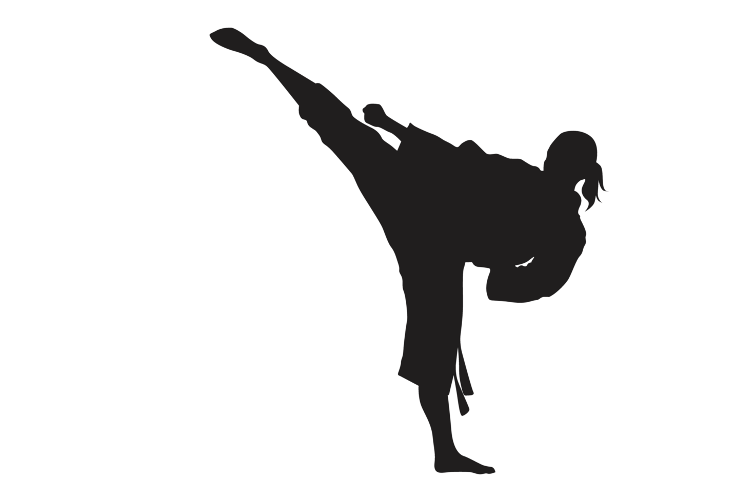 Pose Of Karate Silhouette with Transparent Background png