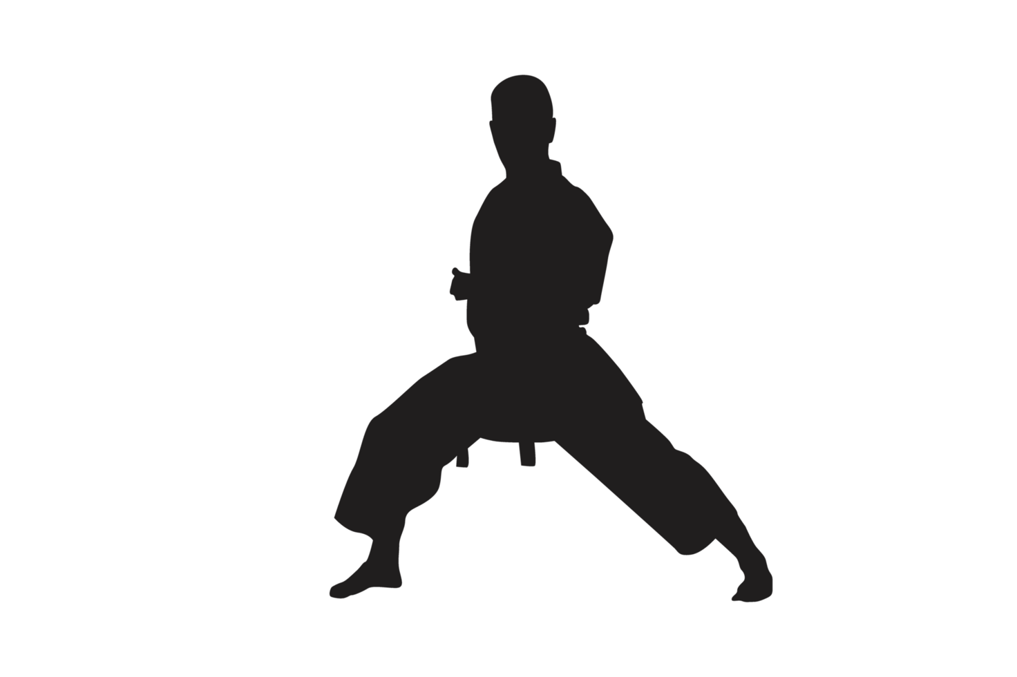 Pose Of Karate Silhouette with Transparent Background png