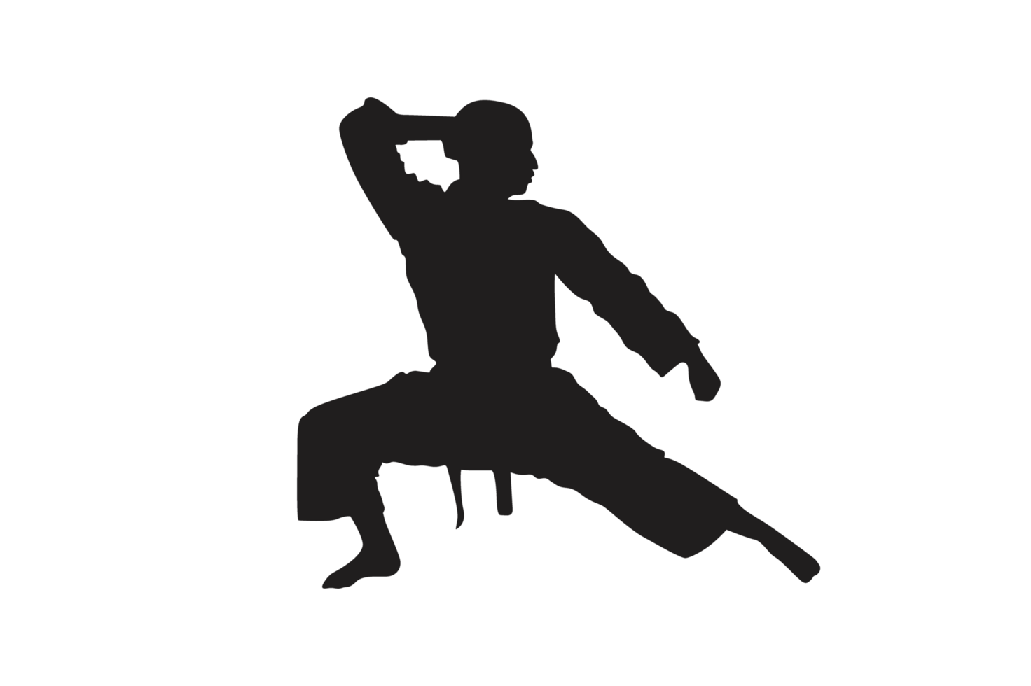 Pose Of Karate Silhouette with Transparent Background png