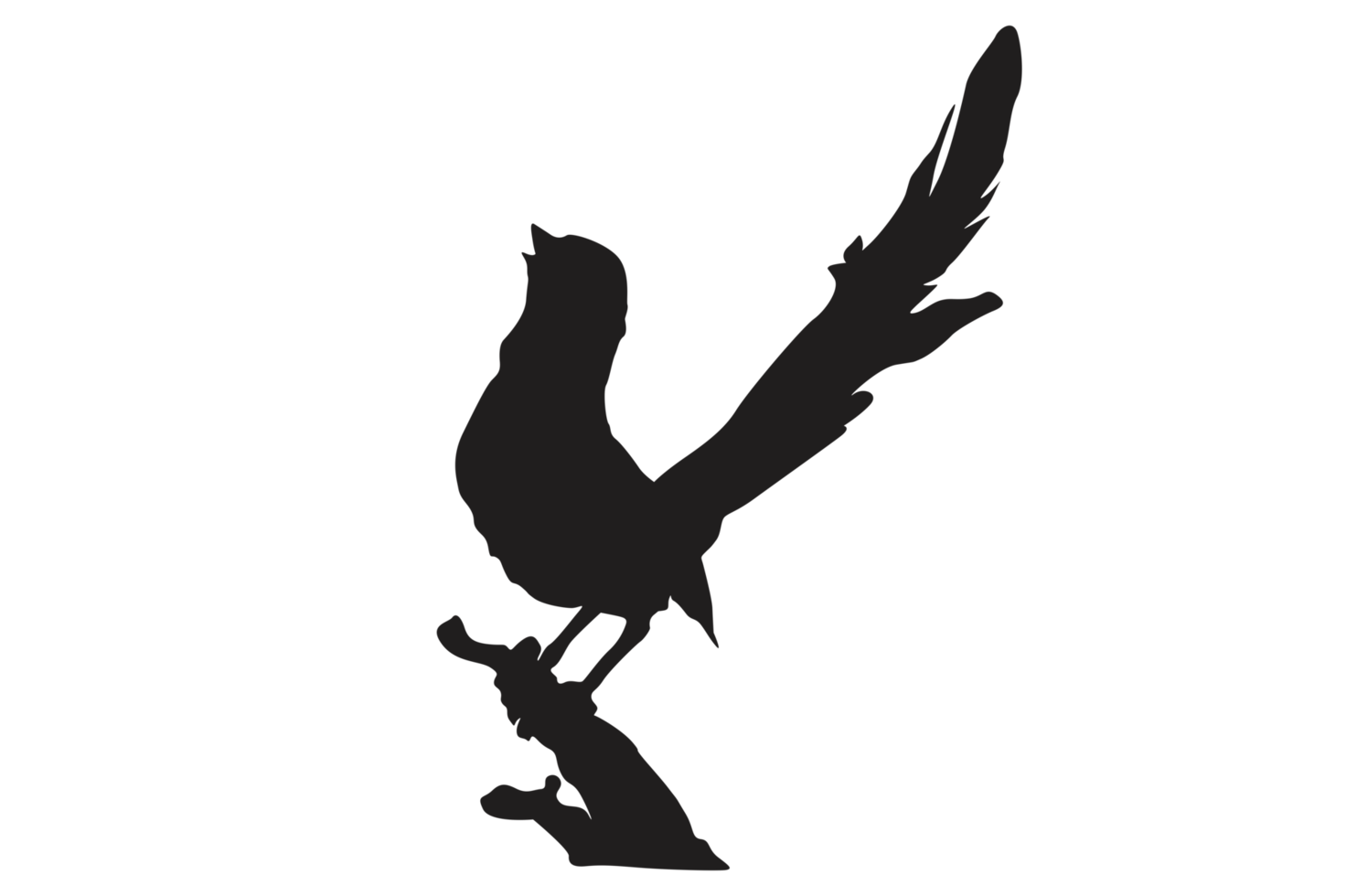 pose of a bird perched on a twig silhouette with a transparent background png