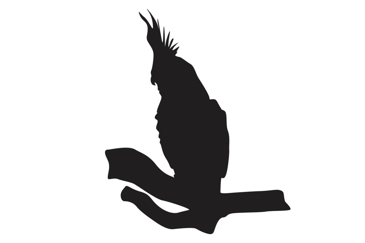 pose of a bird perched on a twig silhouette with a transparent background png