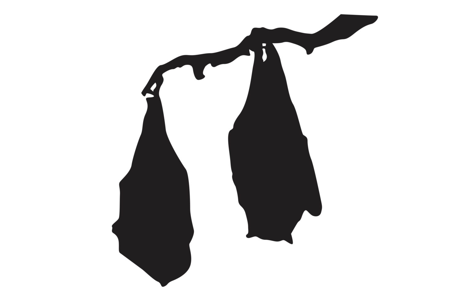 Pose of Bat Silhouette with Transparent Background png