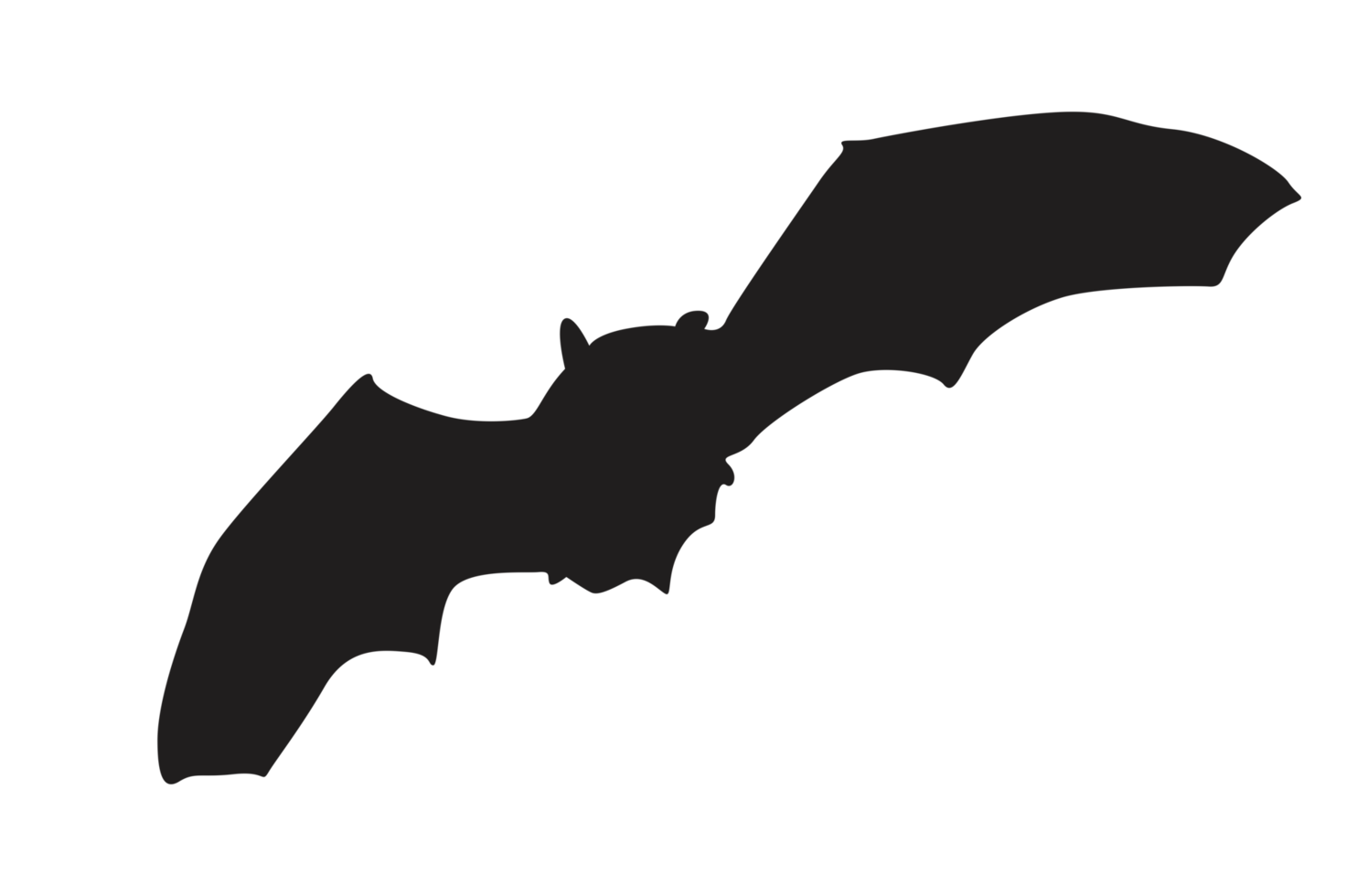 Pose of Bat Silhouette with Transparent Background png
