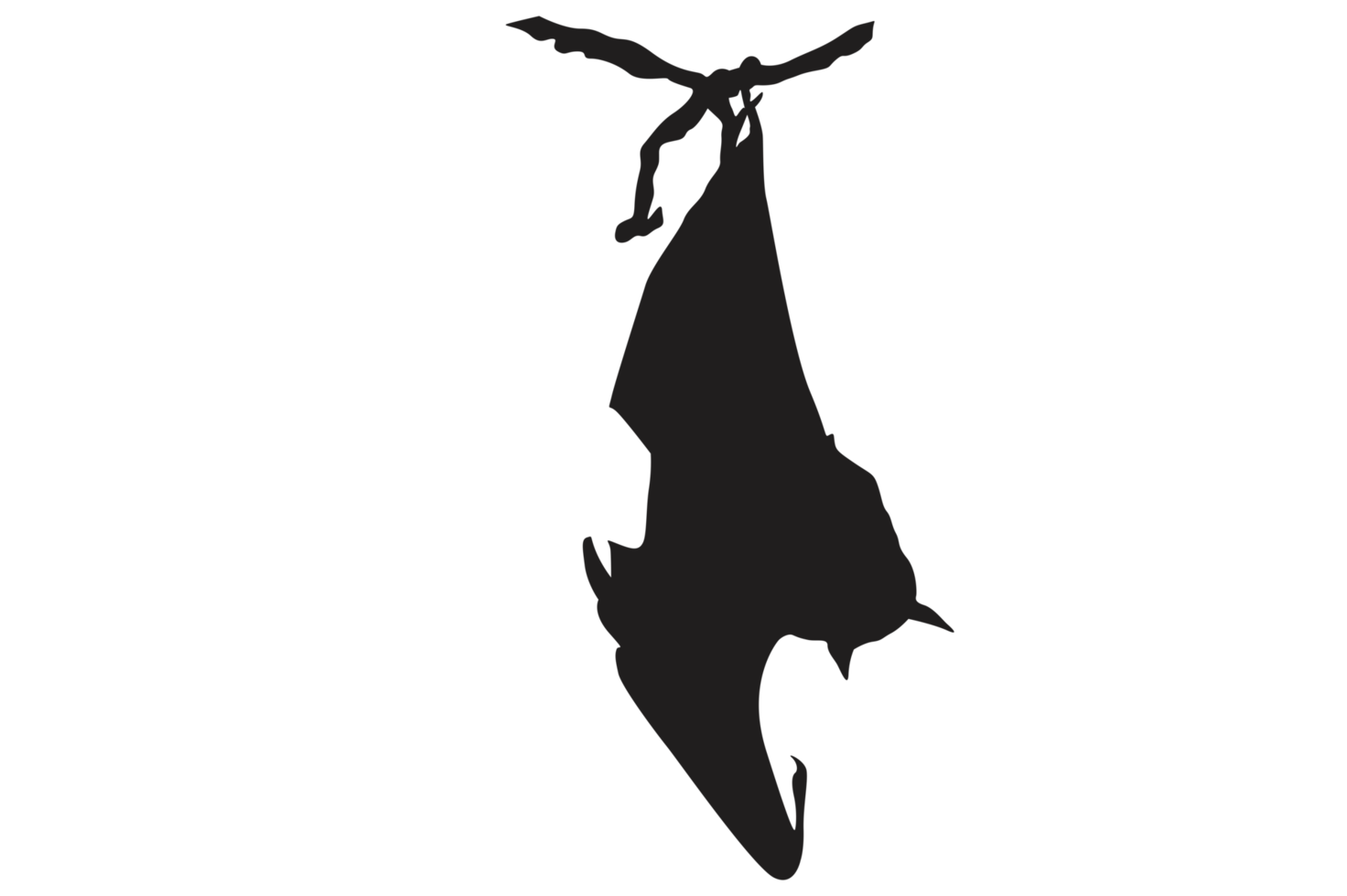 Pose of Bat Silhouette with Transparent Background png