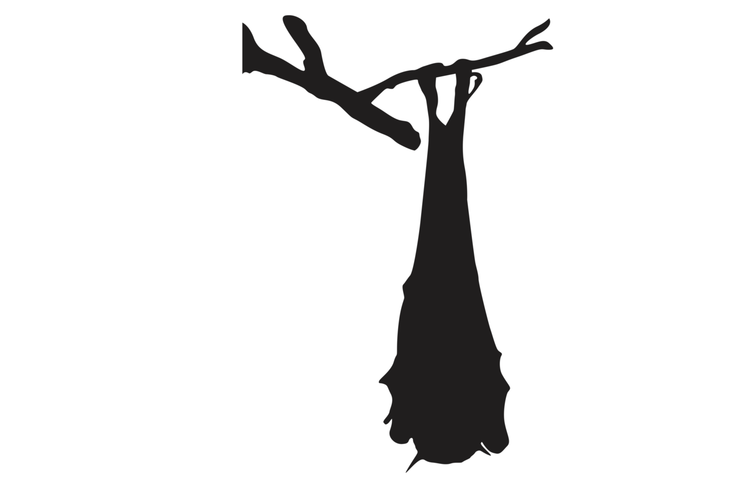 Pose of Bat Silhouette with Transparent Background png