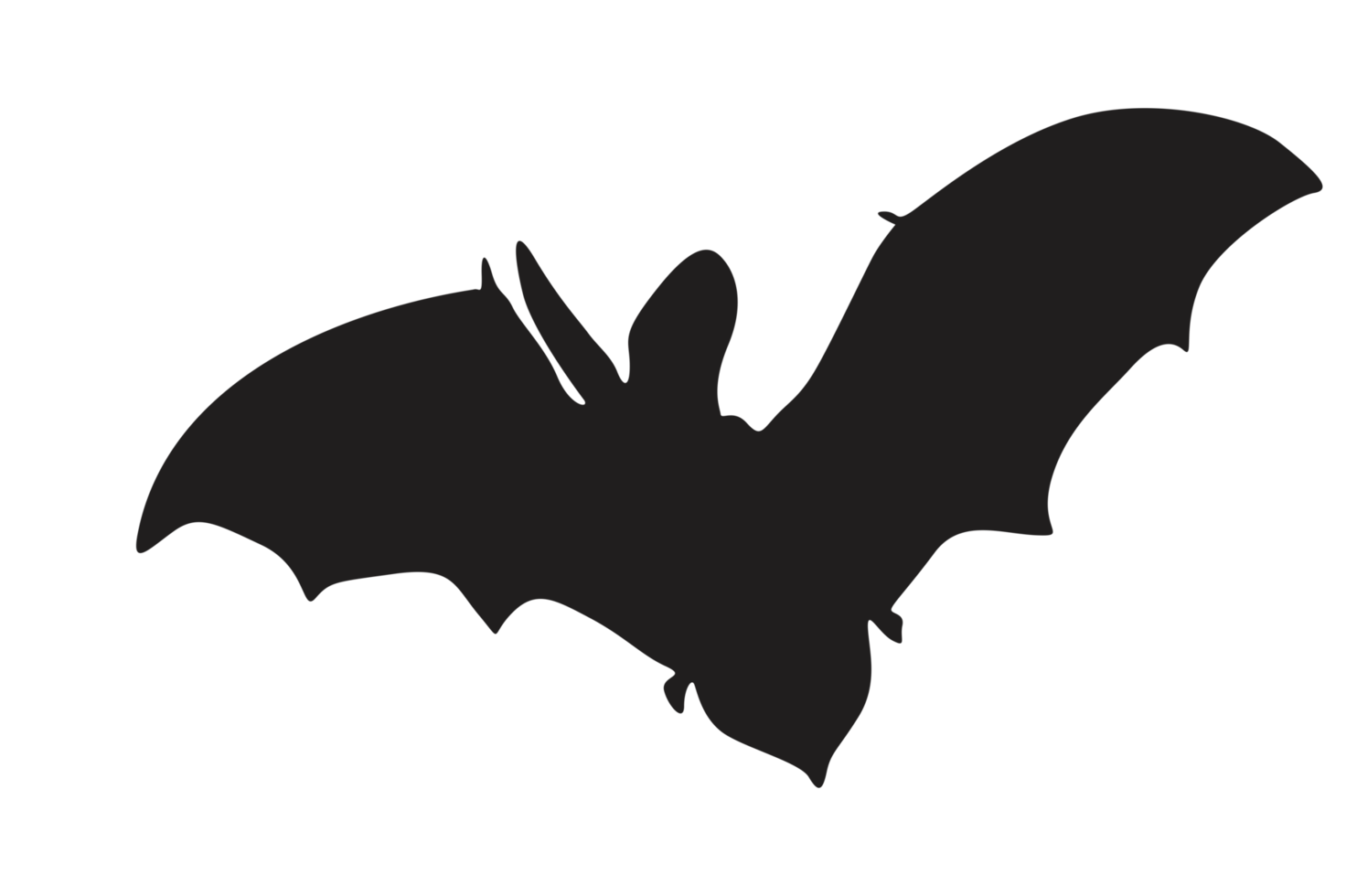 Pose of Bat Silhouette with Transparent Background png