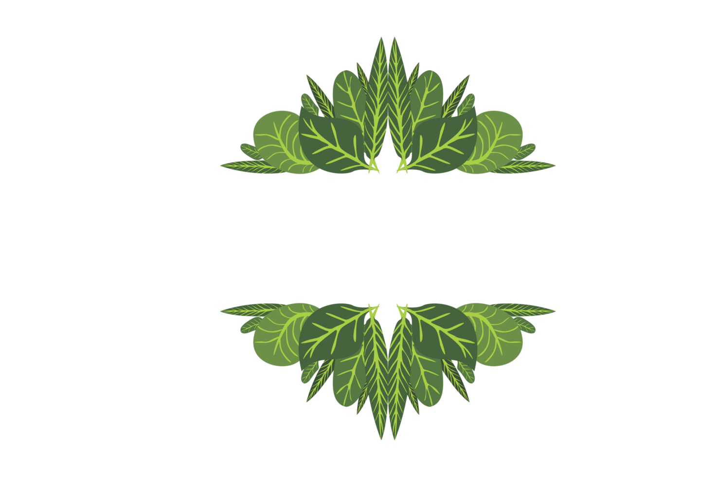 Flora Ornament Border With Design With Transparent Background png