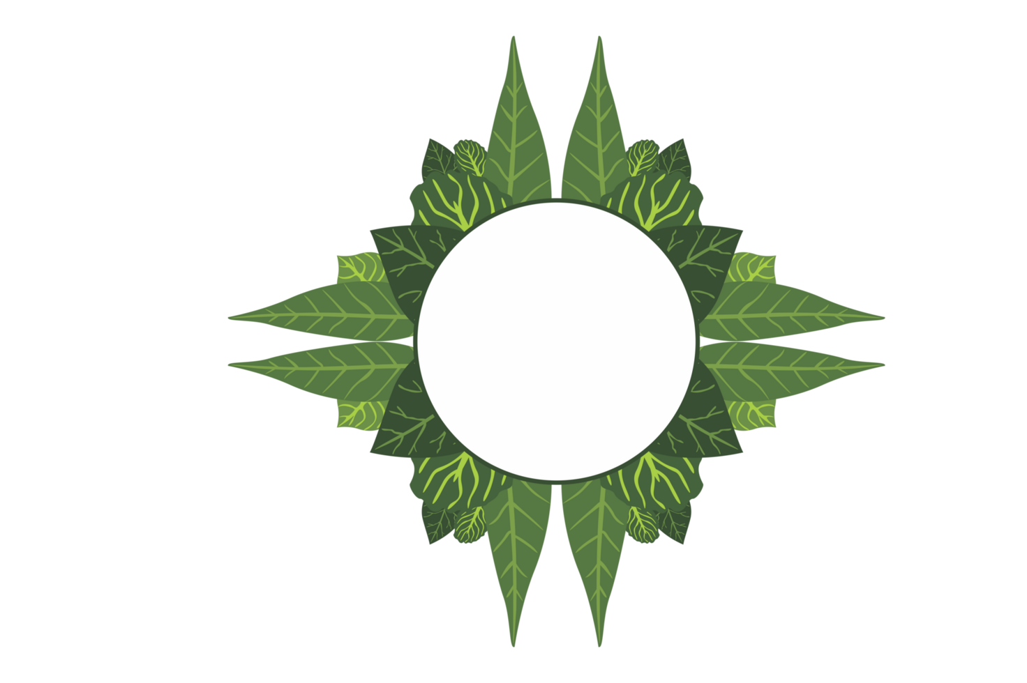 Flora Ornament Border With Design With Transparent Background png