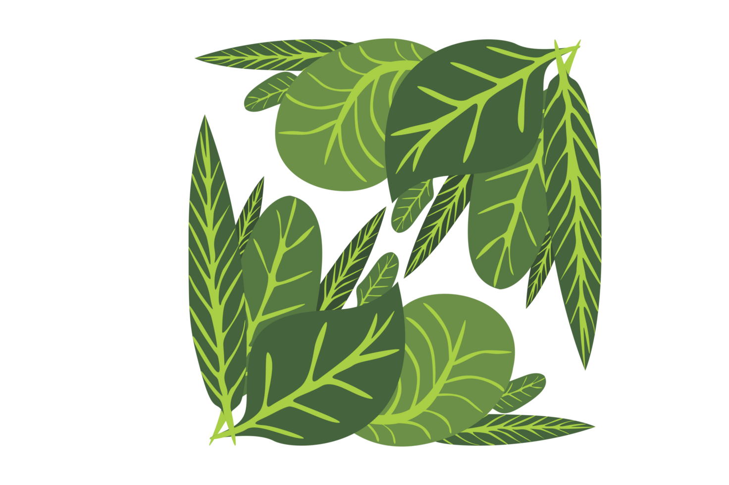 Flora Ornament Border With Design With Transparent Background png