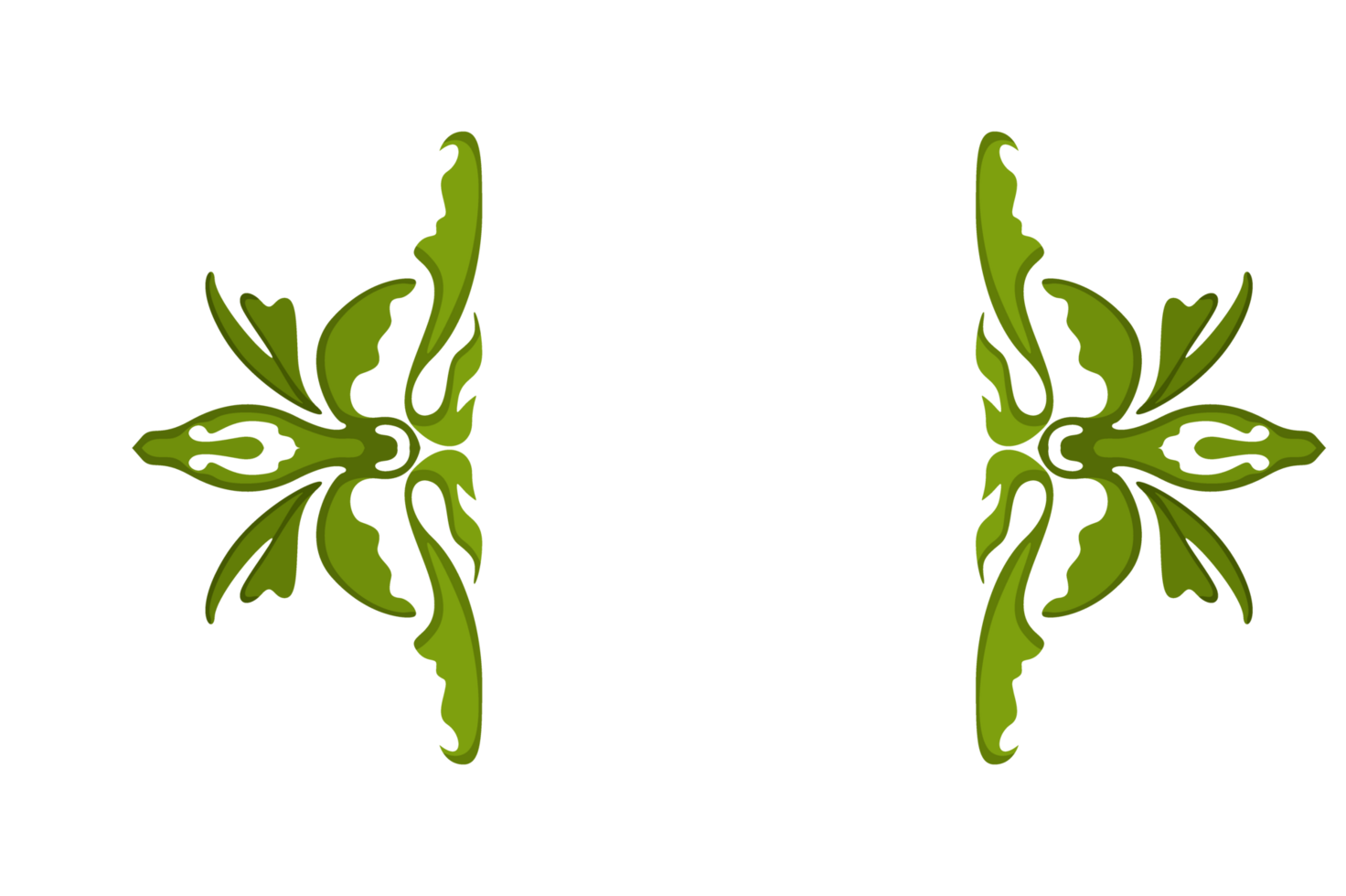 Flora Ornament Border With Design With Transparent Background png