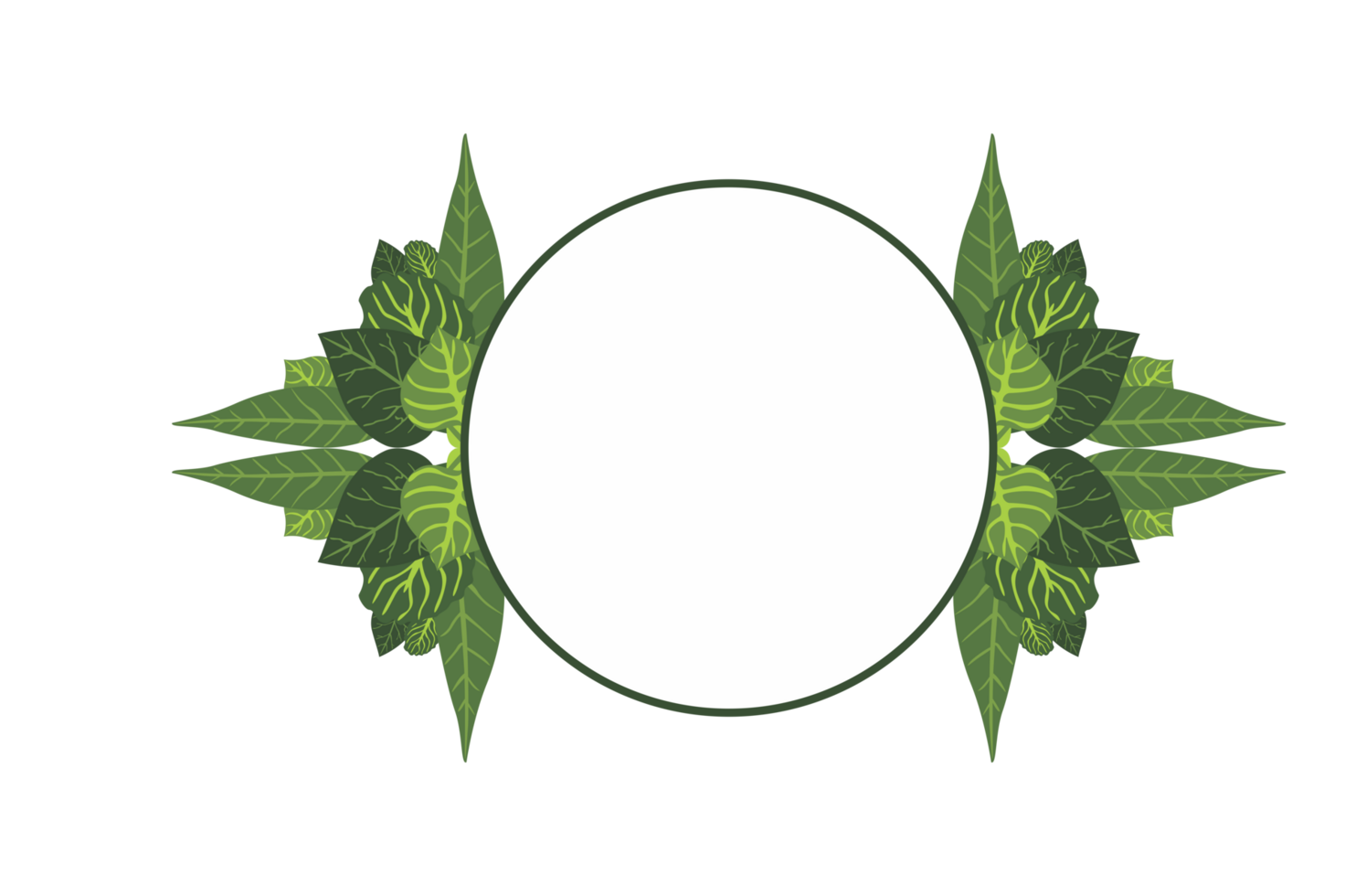 Flora Ornament Border With Design With Transparent Background png