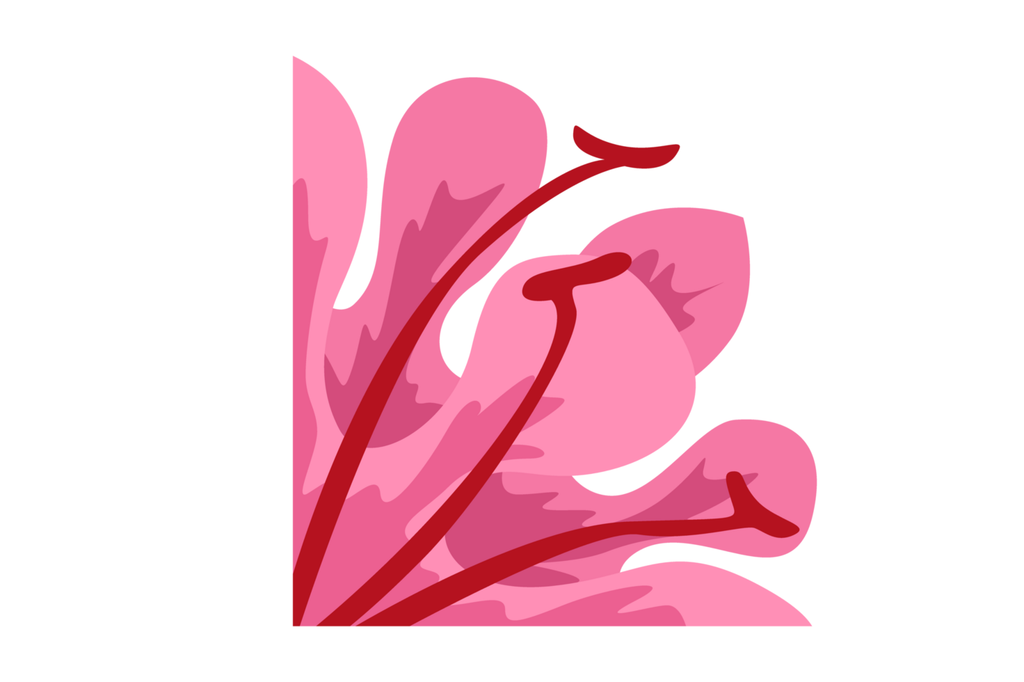 Flower Ornament Border with a design and a transparent background png
