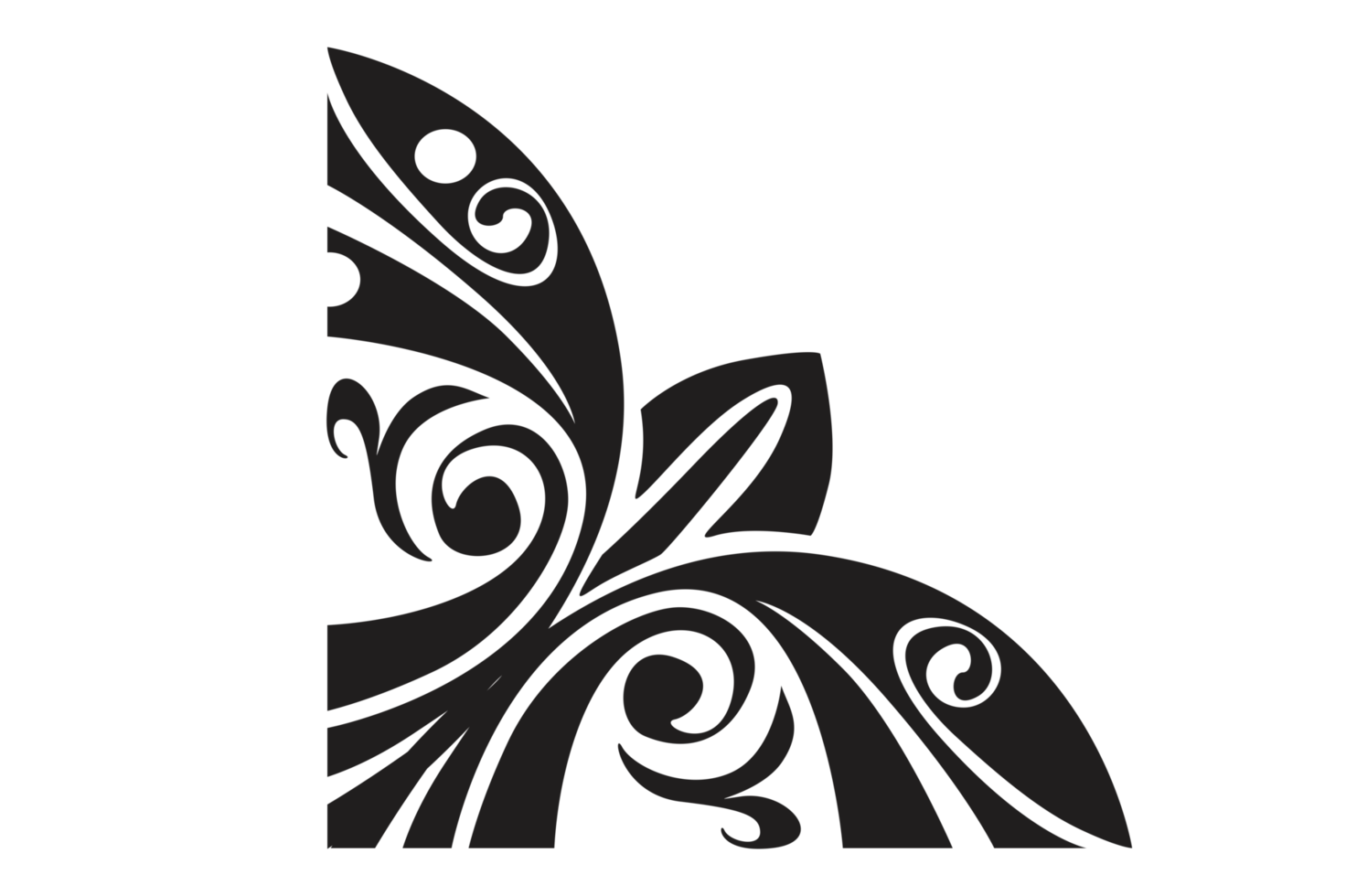 Flower Ornament Border with a design and a transparent background png