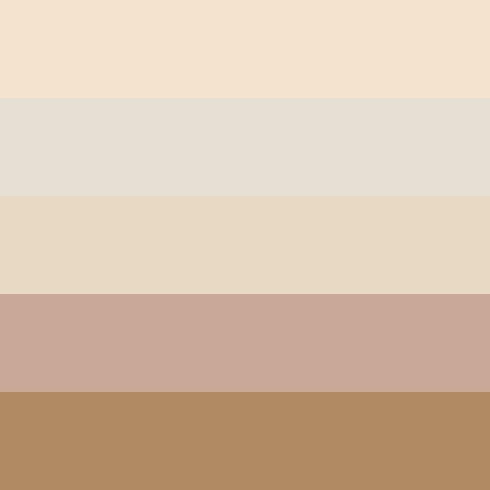 Monochromatic warm neutrals color palette color scheme set vector