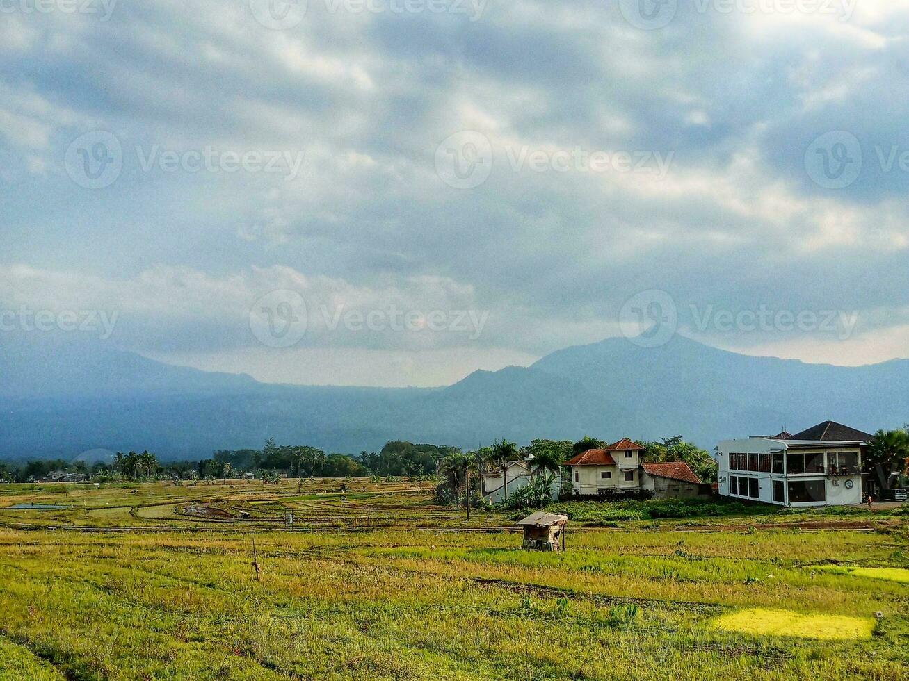 Tranquil Countryside Landscape with Green Fields and Rolling Hills photo