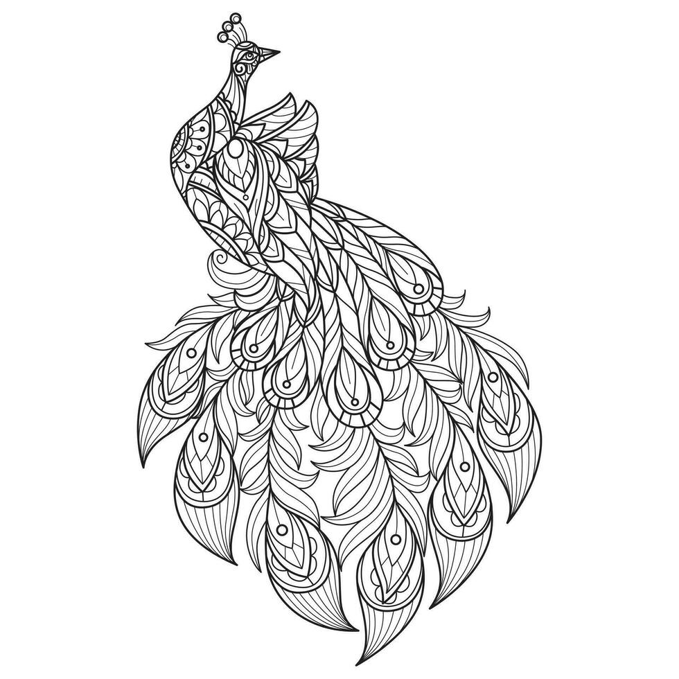 So cute peacock hand drawn for adult coloring book vector