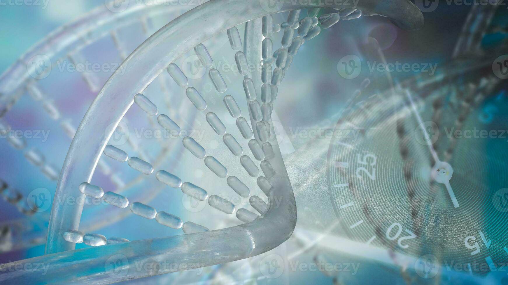 The DNA image for sci or education concept 3d rendering photo