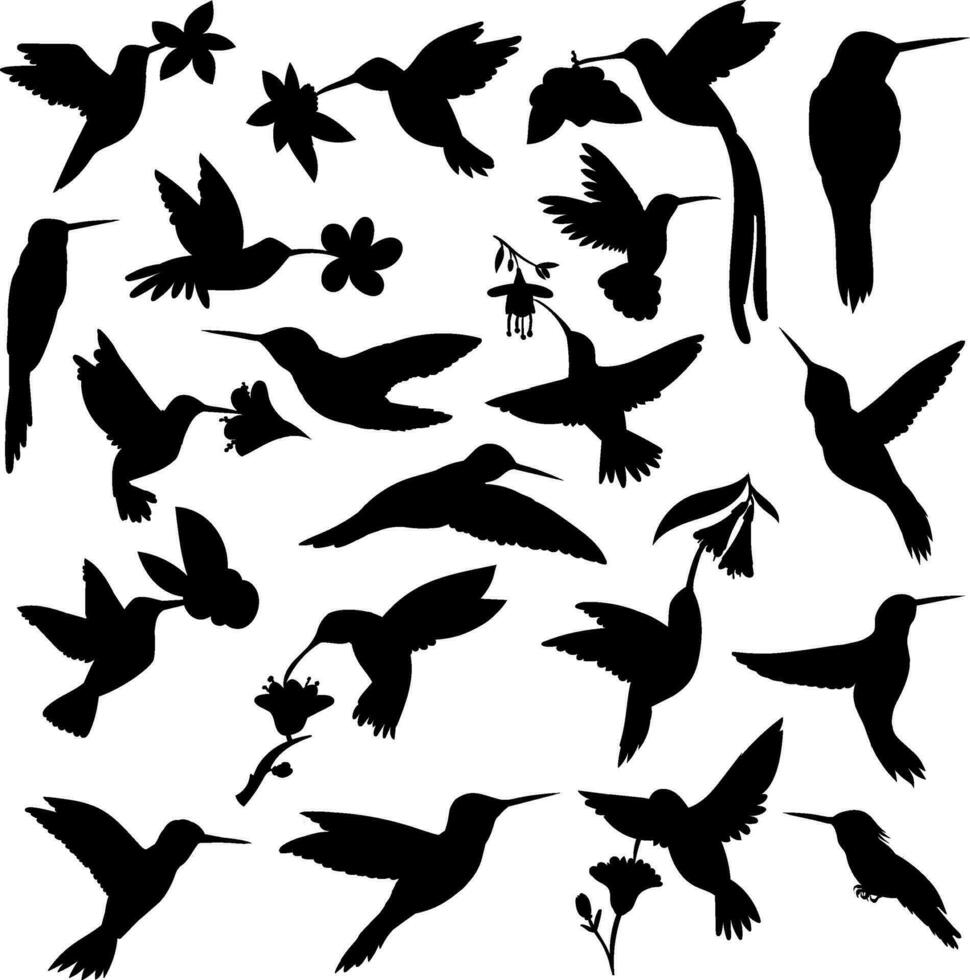 Hummingbird silhouettes set vector