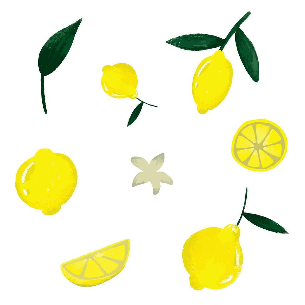 colección de limones para acortar Arte vector