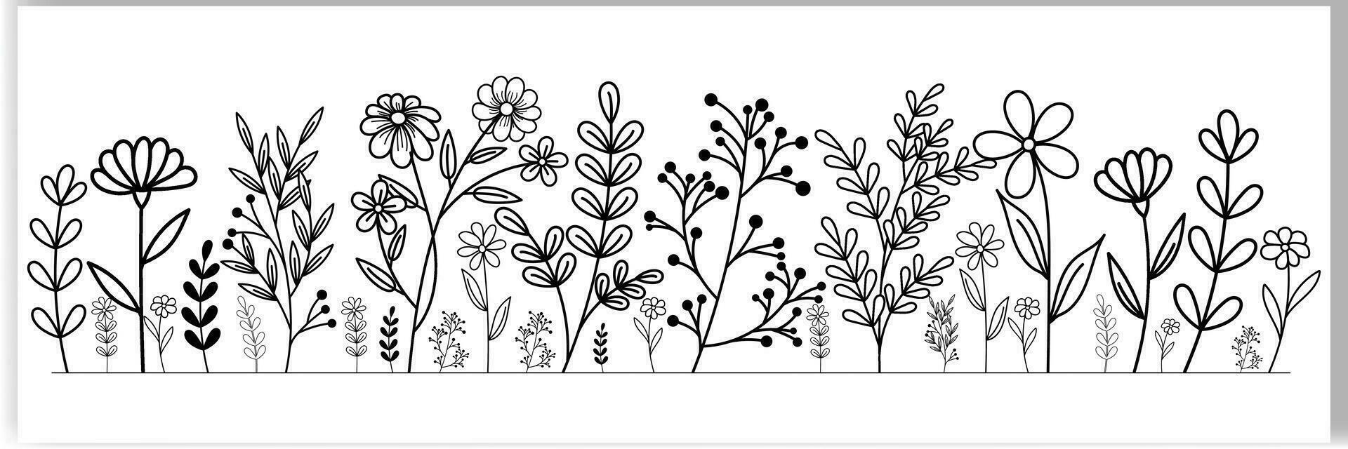 Botanical abstract line art composition minimal floral border of hand-drawn herbs flowers leaves vector