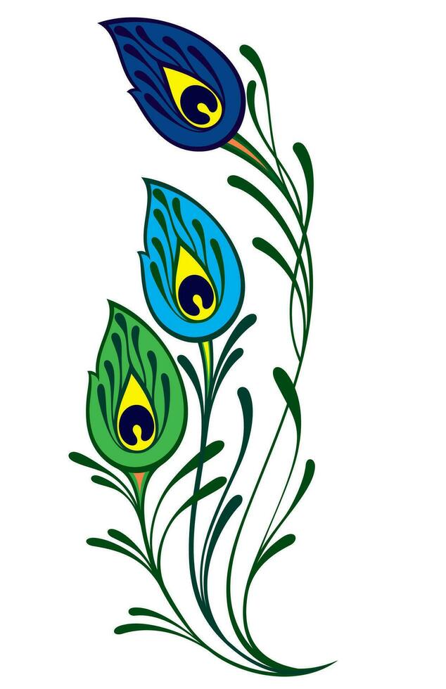 Peacock feathers . Feathers on an animalistic theme. vector