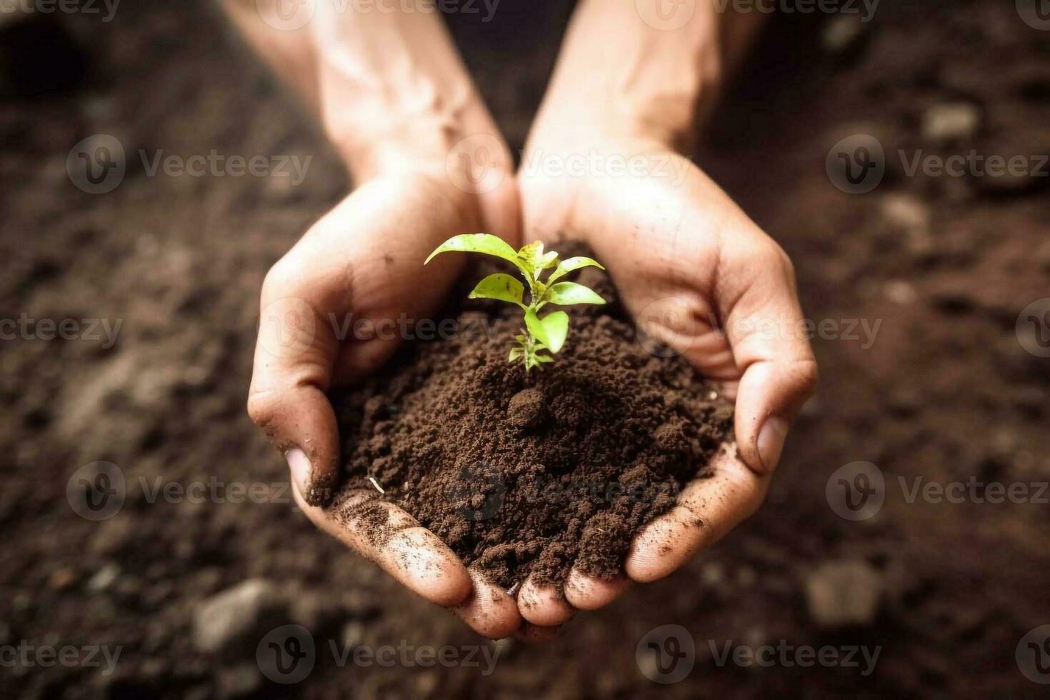 World Soil Day. Greening the planet. Saving the planet. Generative AI . photo