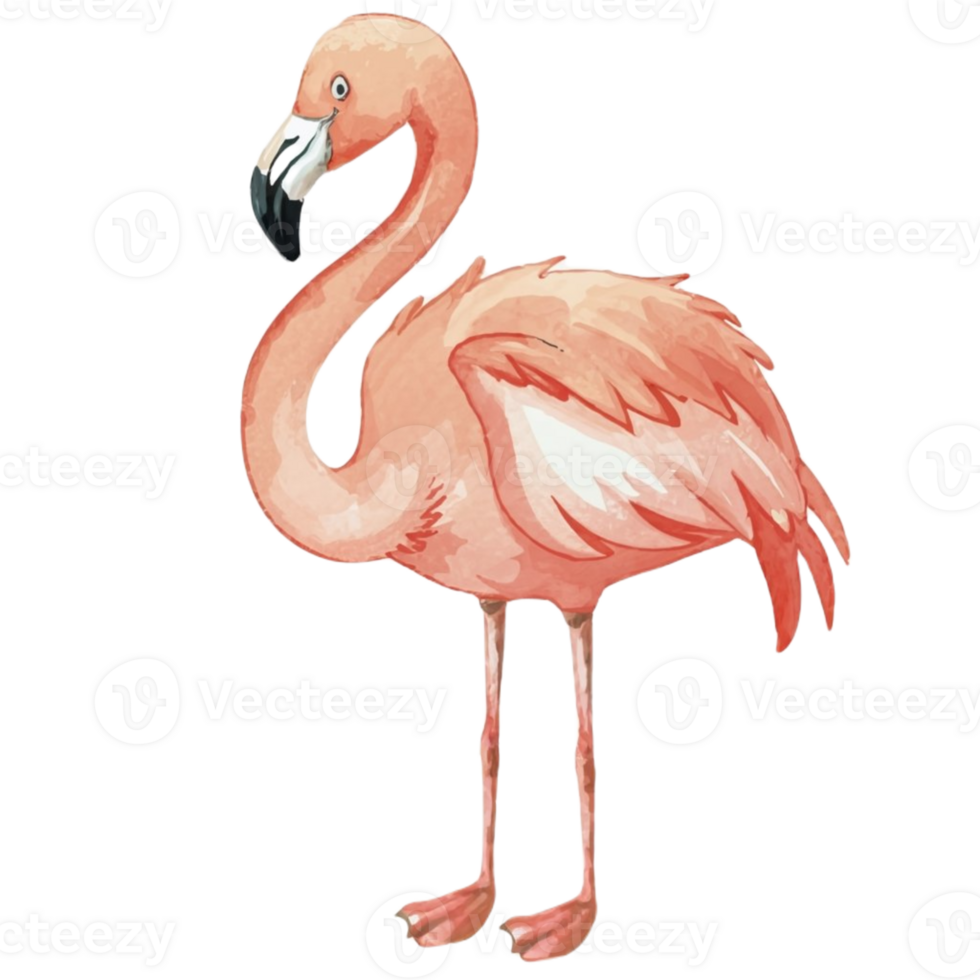 Flamingo Cute Happy AI Generative png