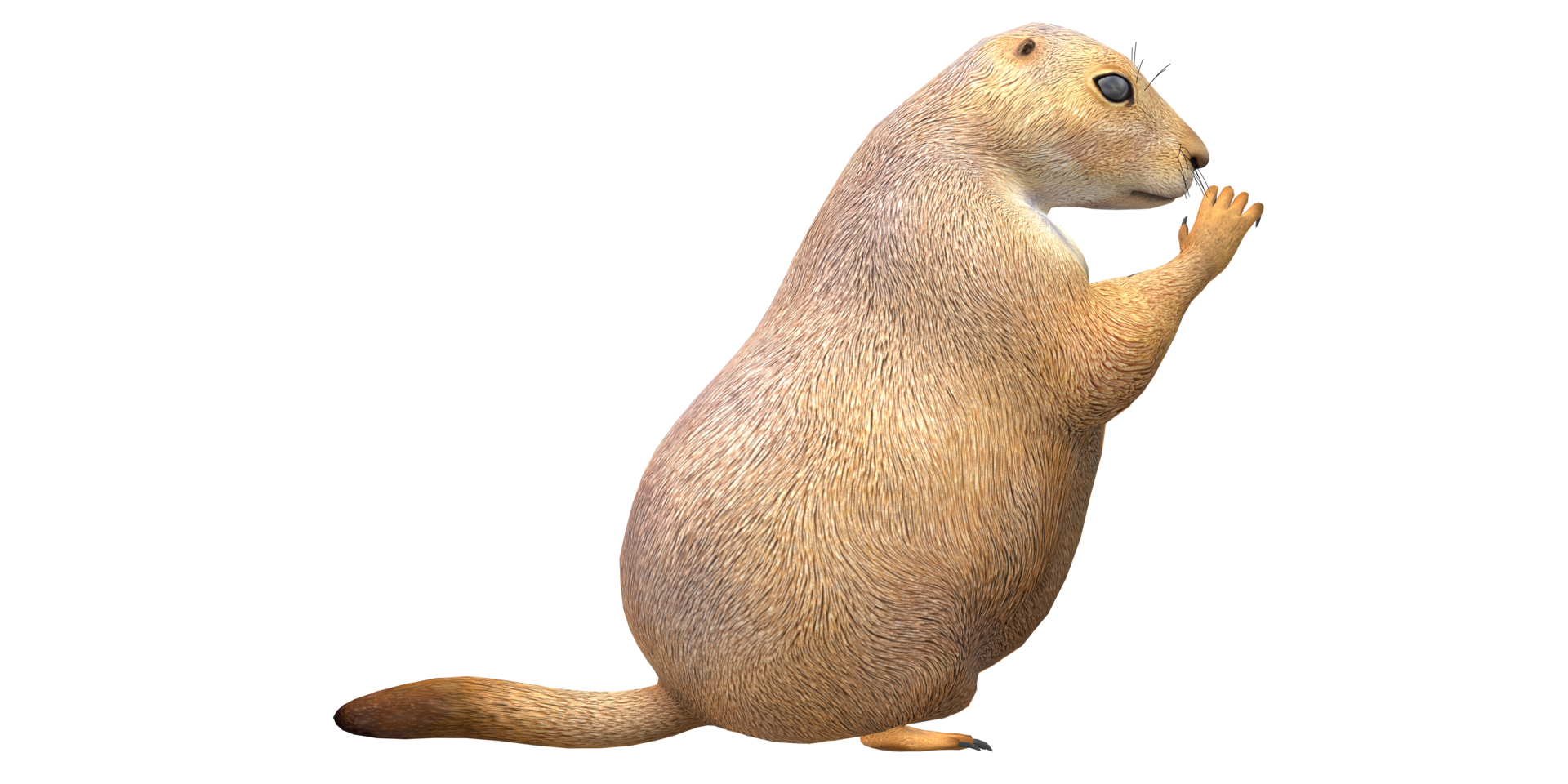 prairie chien isolé sur une transparent Contexte png