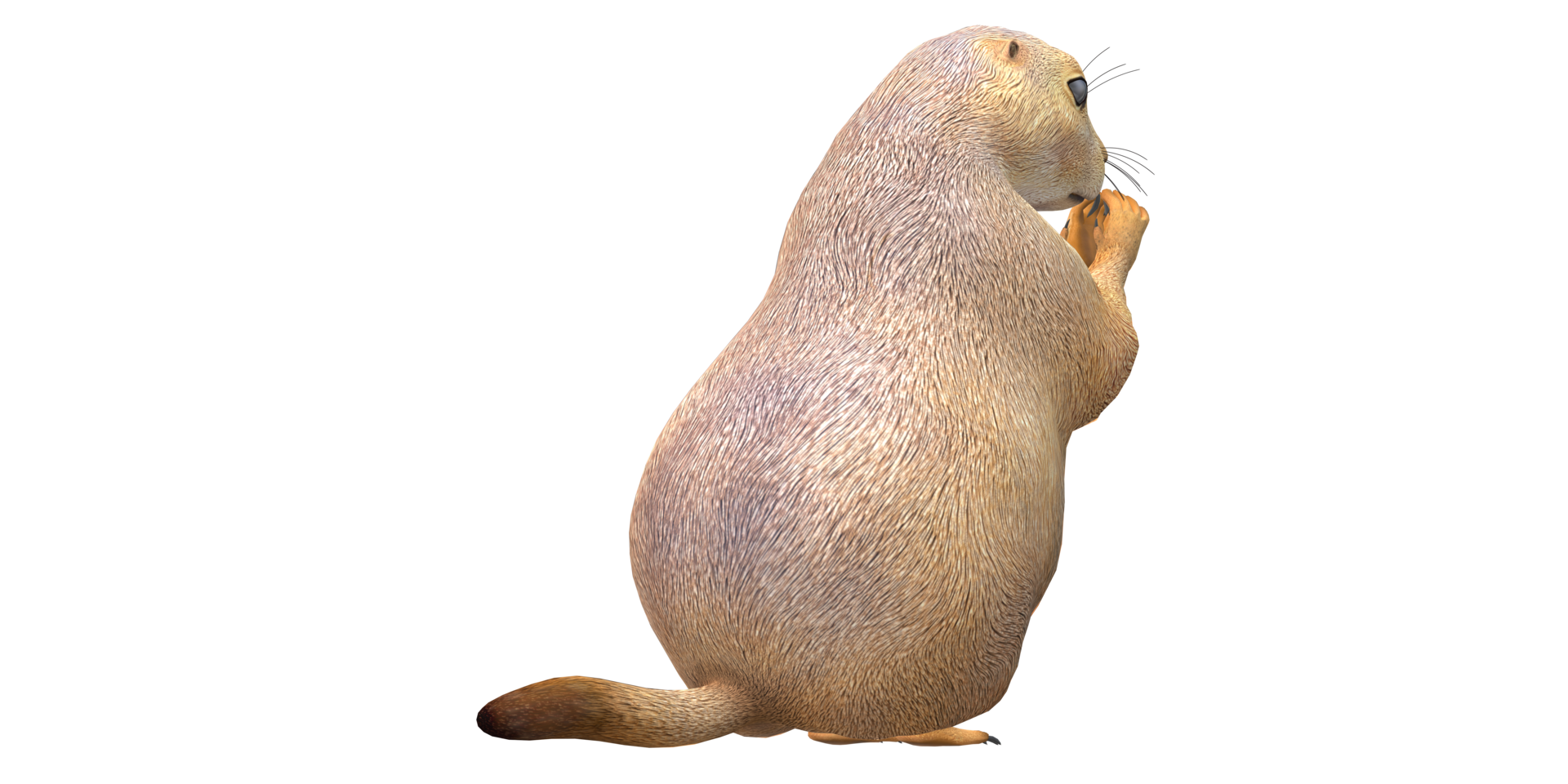 prairie chien isolé sur une transparent Contexte png