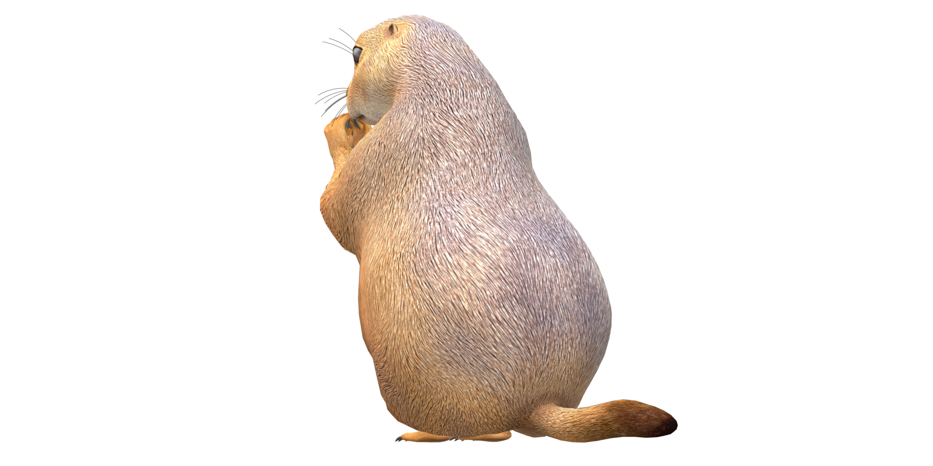 prairie chien isolé sur une transparent Contexte png