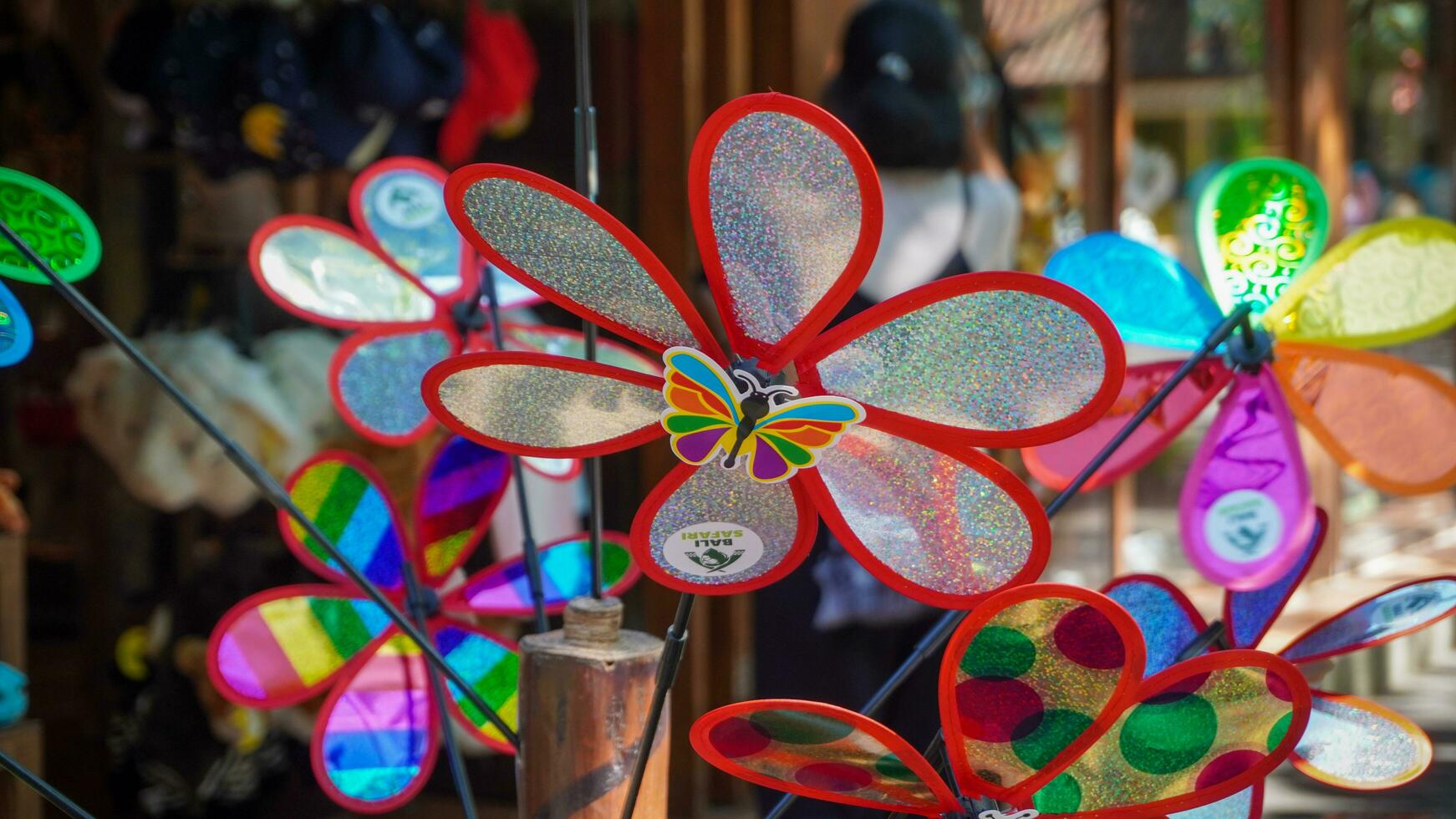 close up Pinwheels toy Flowers in the garden are colorful like windmills photo