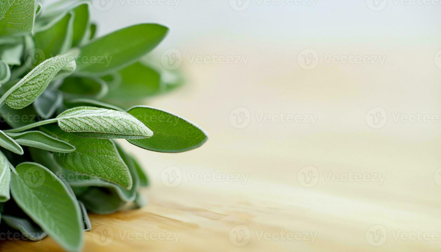 Sage leaf medicine herbal ingredient. Health aromatherapy herb. Generative AI photo