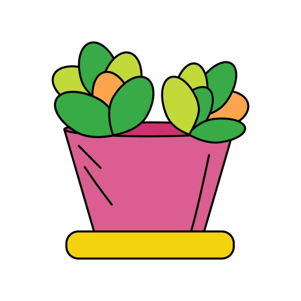 Echeveria cactuses in pink planter with yellow catch tray vector