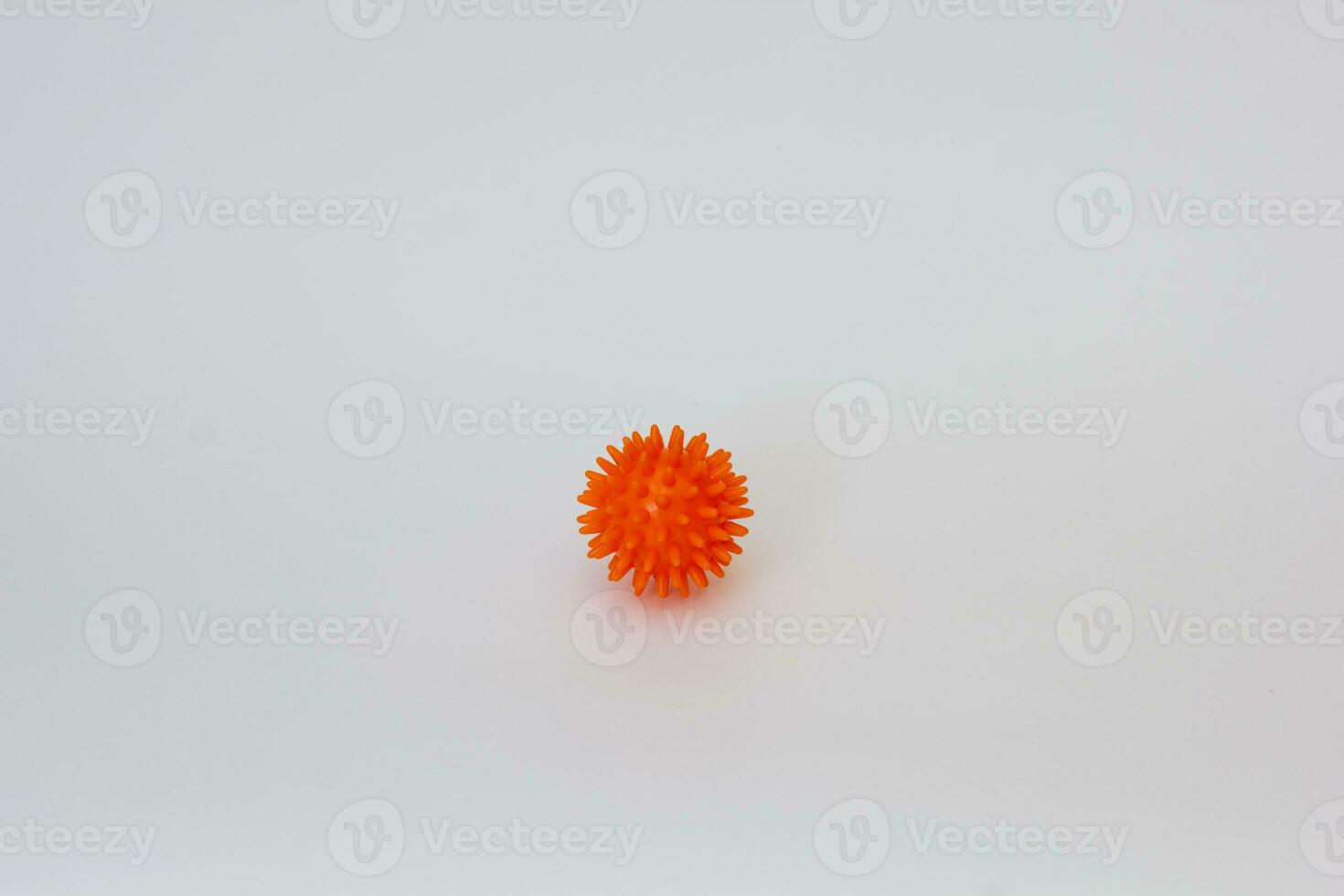 Orange spiky needle ball photo