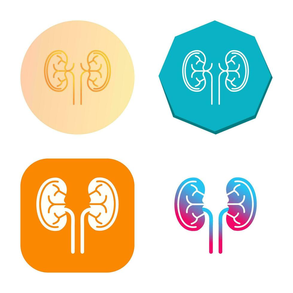 Kidney Vector Icon