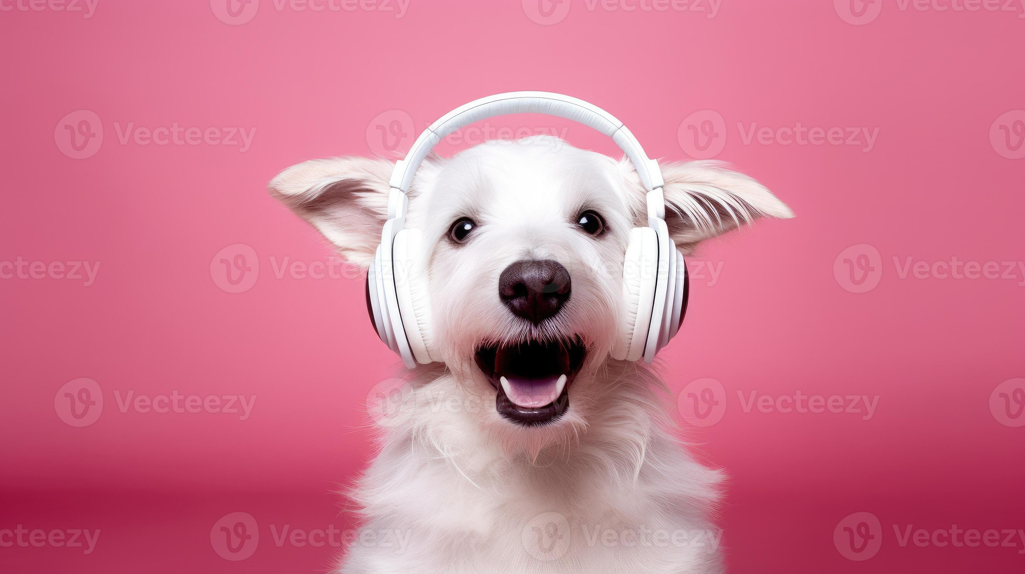 Dog happy music hotsell