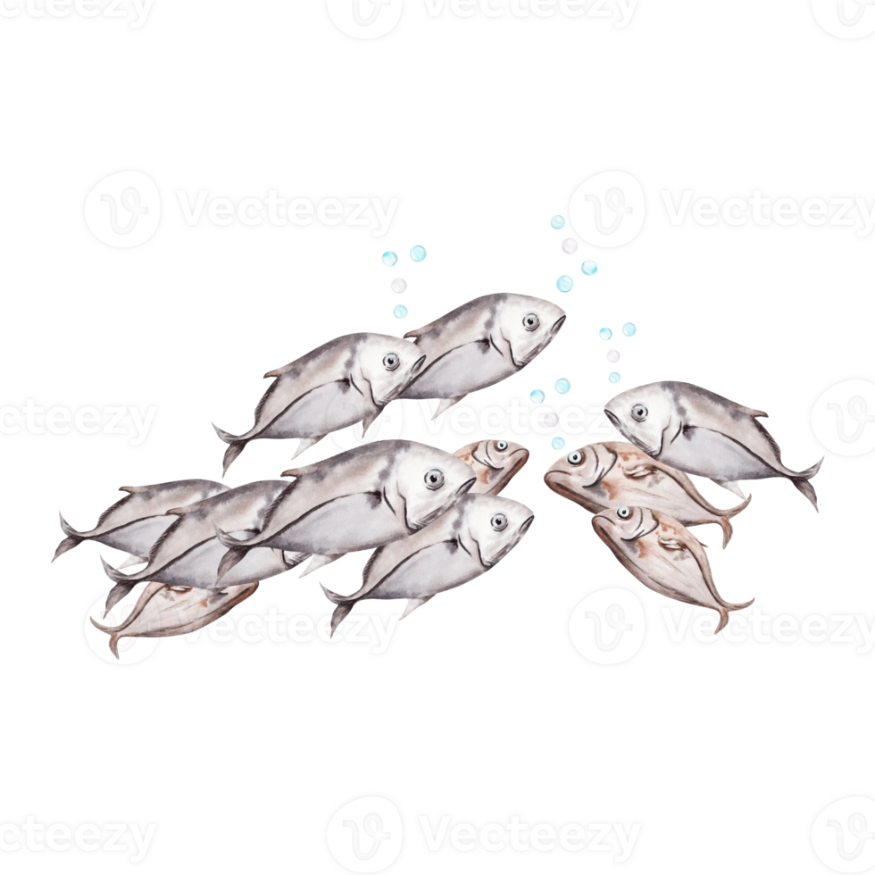 en skola av fisk simning tillsammans. hand dragen vattenfärg illustration isolerat på transparent bakgrund. korall rev marin liv hav samling. för dykning broschyrer, restaurang meny. png