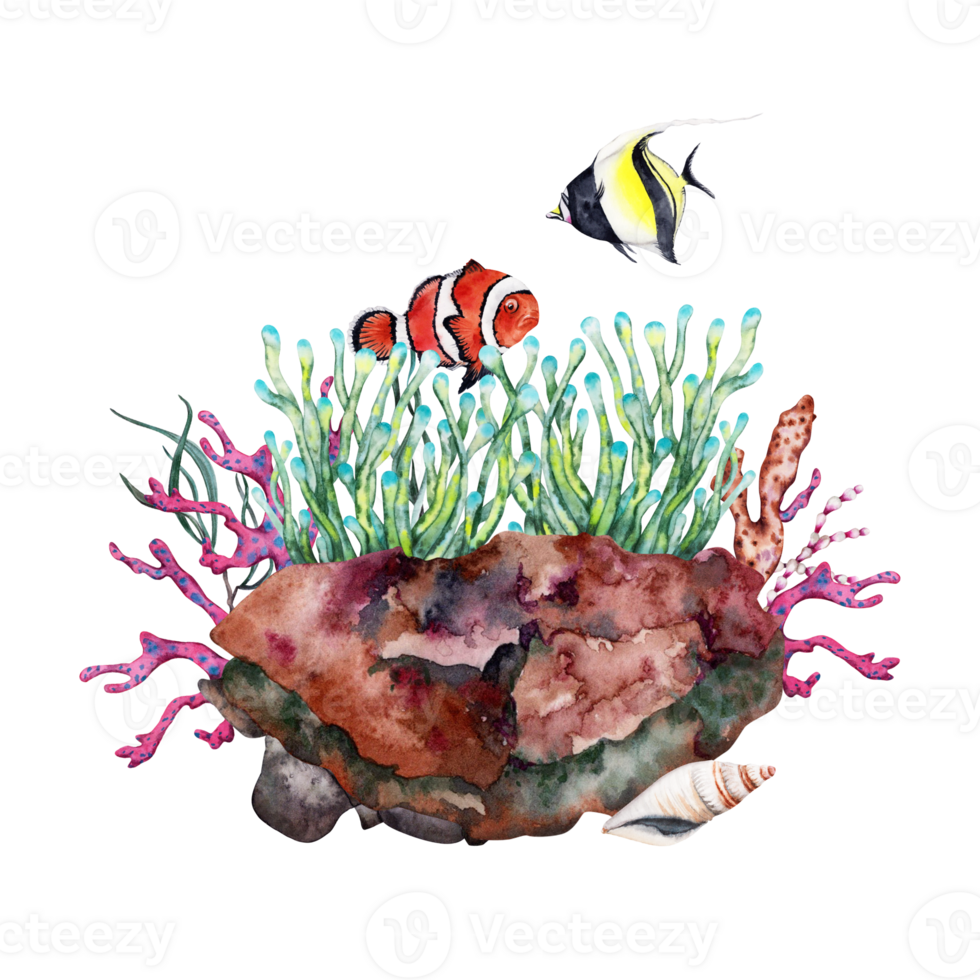 Two tropical fishes near anemone growing over reef rock with corals and seaweed. Hand drawn watercolor illustration. Tropical underwater collection. png