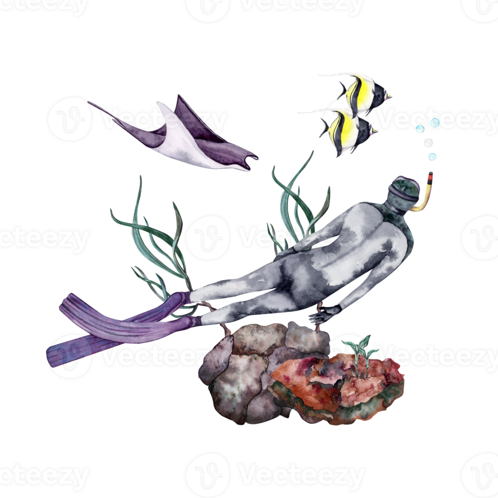 Sea life composition with a diver, coral reef, seaweed, manta ray and tropical fishes. Watercolor illustration isolated on transparent background. For book, card, invitation, flyer, brochure designs png