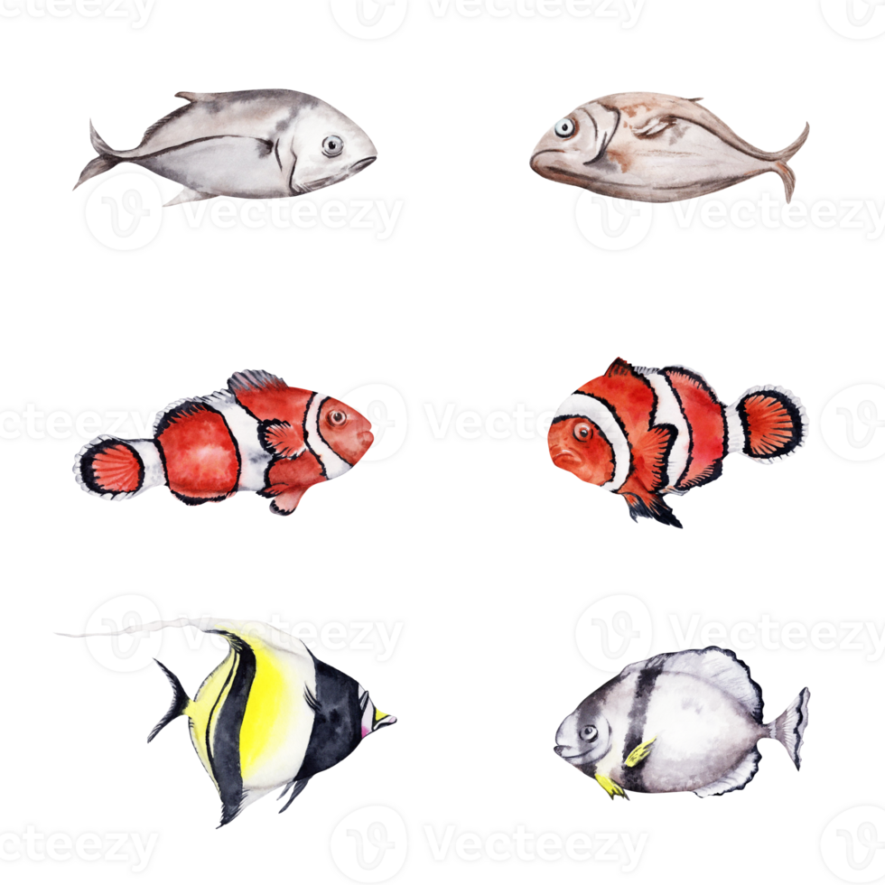 Collection of coral reef tropical fishes including clown fish and moorish idol. Hand drawn watercolor illustrations. Isolated design elements for holiday cards, invitation and ocean themed designs. png