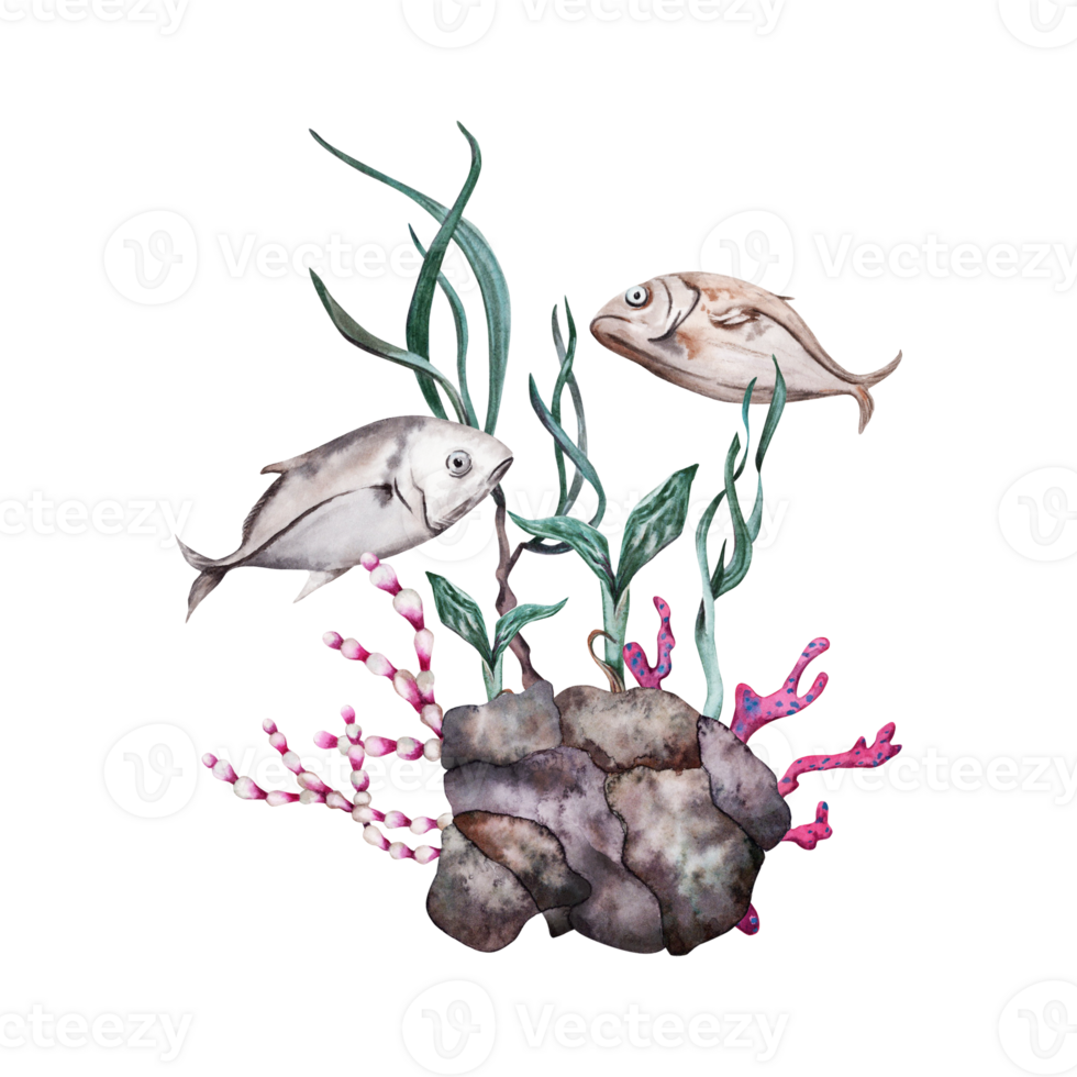 dois tropical peixes natação sobre recife pedra, vermelho corais, plantas e verde algas marinhas. mão desenhado aguarela ilustração isolado em transparente fundo. tropical embaixo da agua oceano coleção. png
