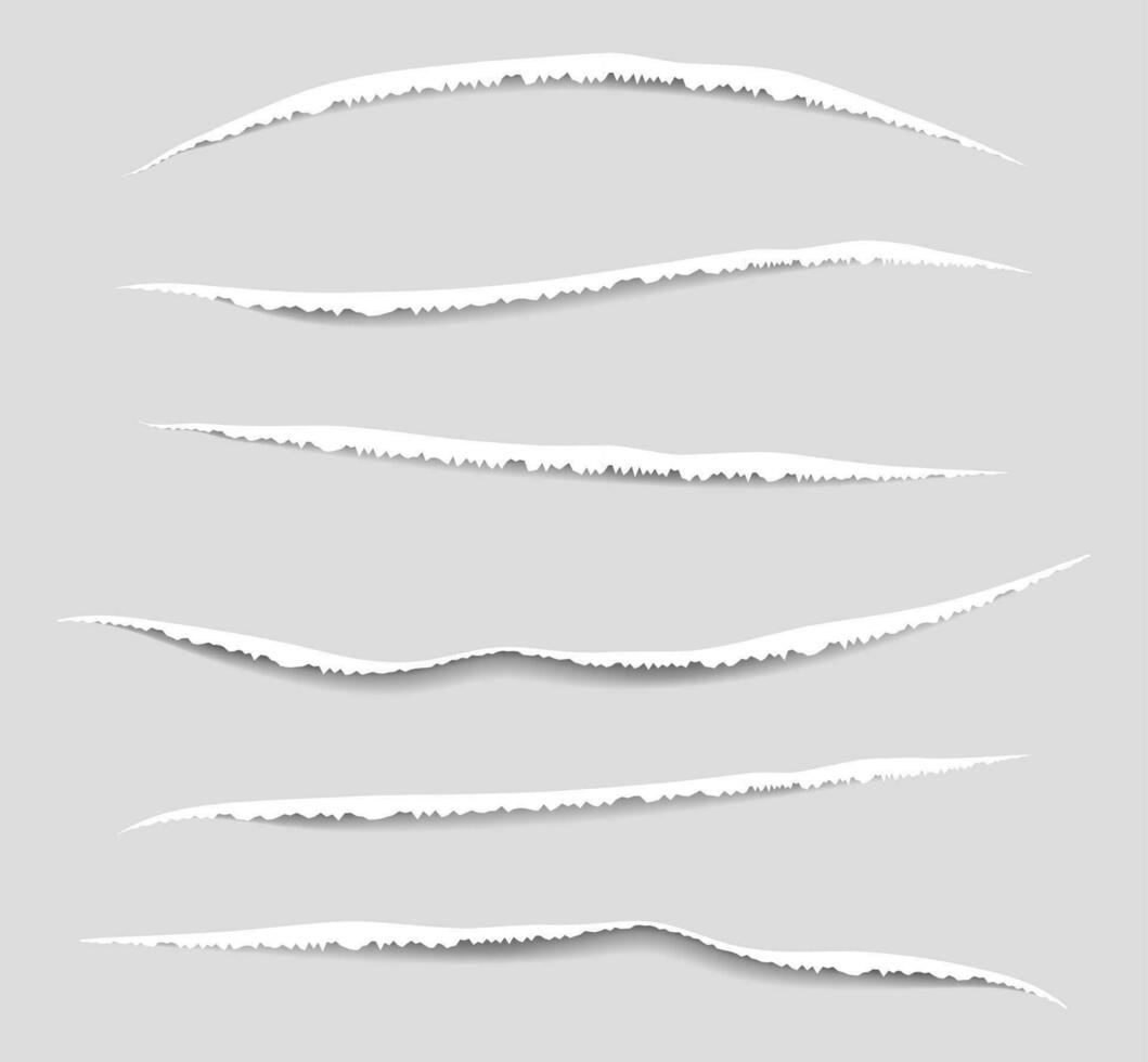 Torn edges paper pattern. Vector illustration.