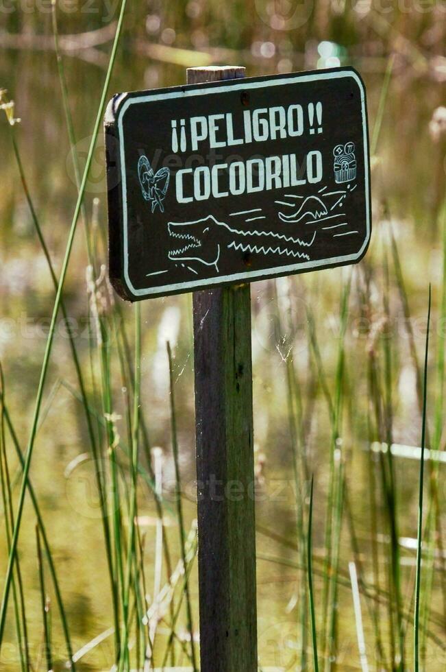 Alligator warning sign photo