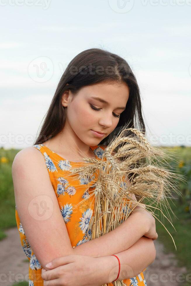 Closeup of beautiful woman in dress is keeping wheat crop photo