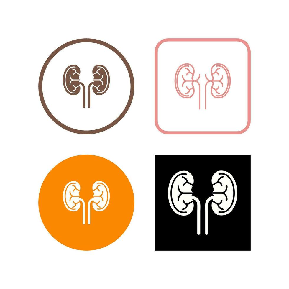 Kidney Vector Icon