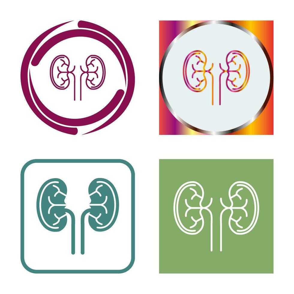 Kidney Vector Icon