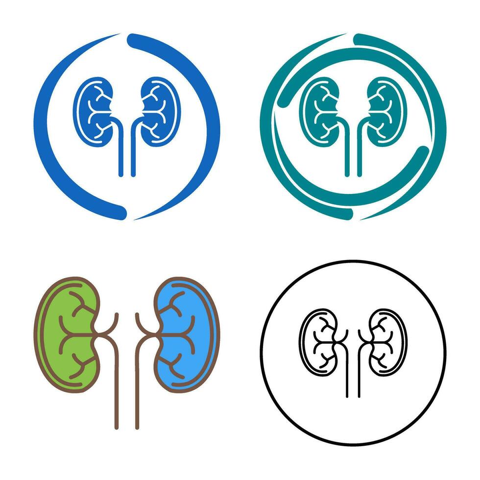 Kidney Vector Icon