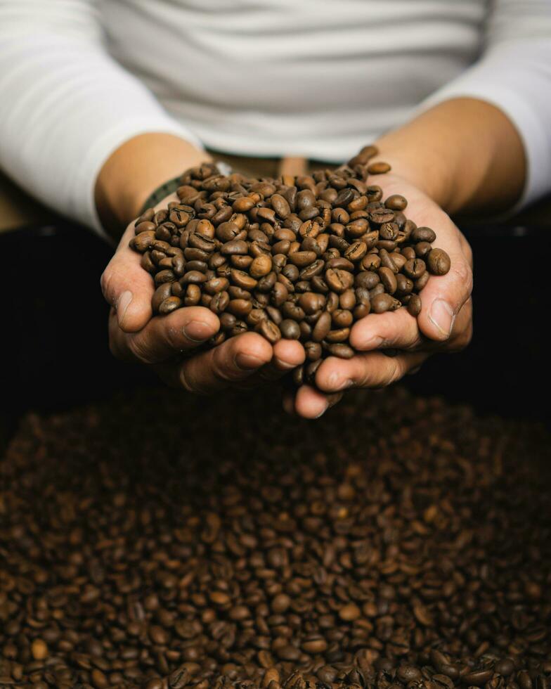 Hands of a coffee roaster take and scoop up freshly roasted coffee beans that smell delicious photo