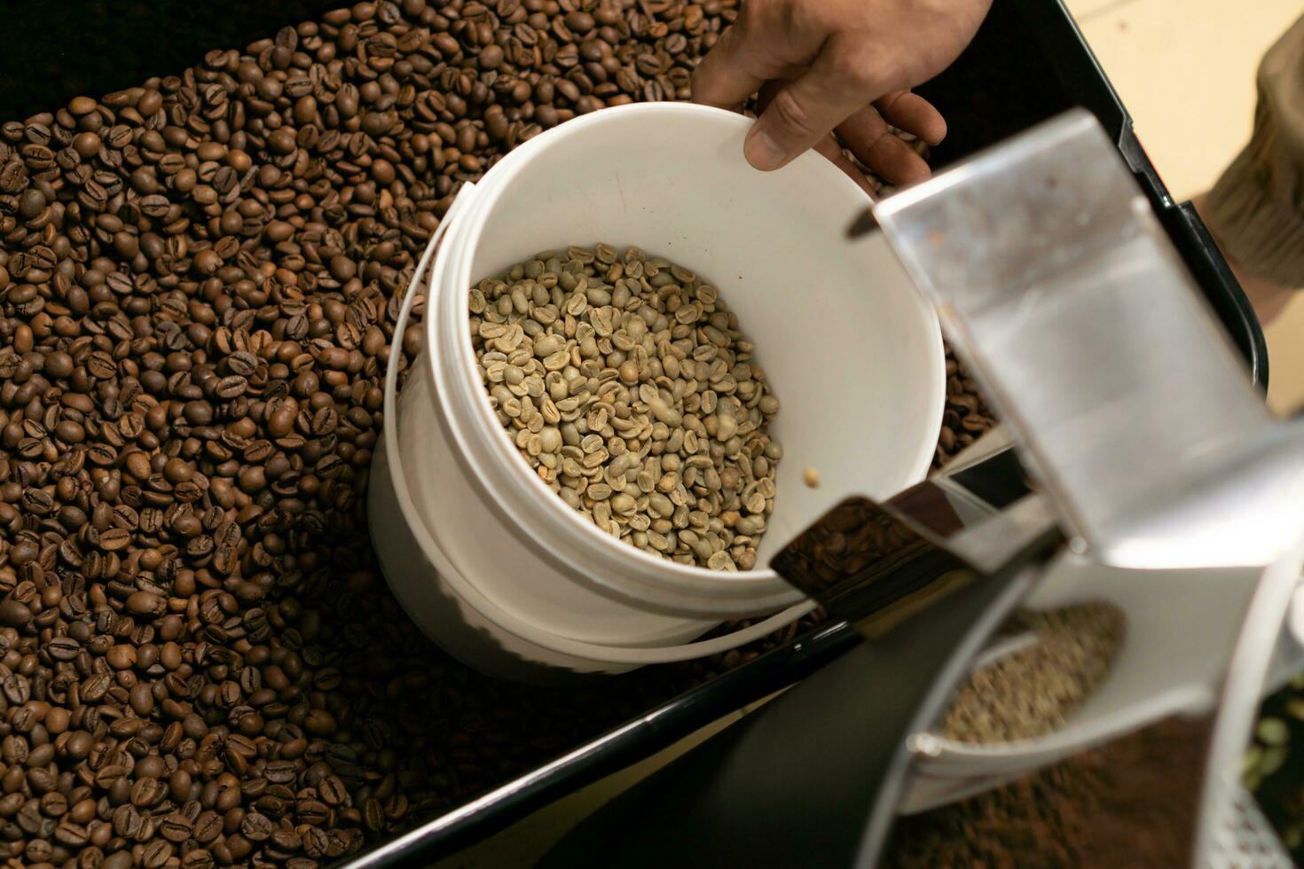 Coffee beans roasting process. green beans before being roasted into fresh coffee beans from the roasting machine photo