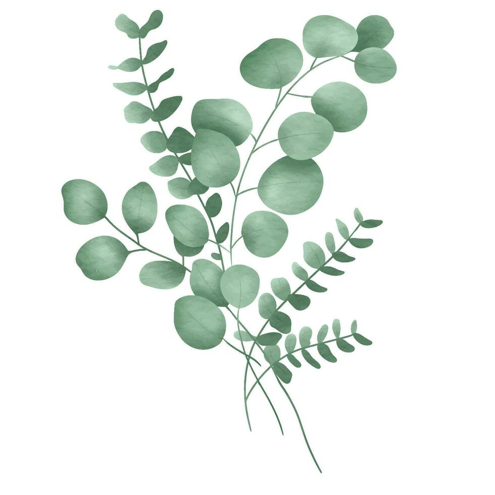 Greenery Leaves Watercolor Hand Drawn. vector
